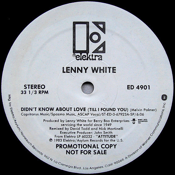 Lenny White : Didn't Know About Love (Till I Found You) (12", Promo)