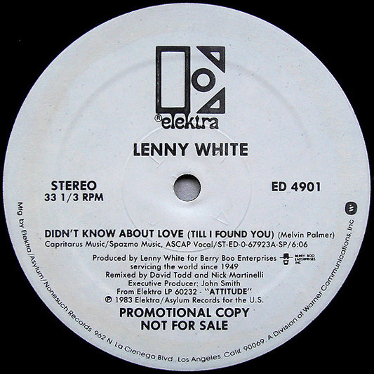 Lenny White : Didn't Know About Love (Till I Found You) (12", Promo)