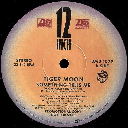 Tiger Moon : Something Tells Me (12", Promo)