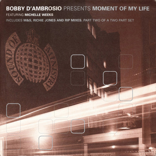 Bobby D'Ambrosio Featuring Michelle Weeks : Moment Of My Life (12", 2/2)