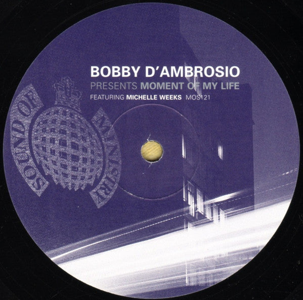 Bobby D'Ambrosio Featuring Michelle Weeks : Moment Of My Life (12", 2/2)