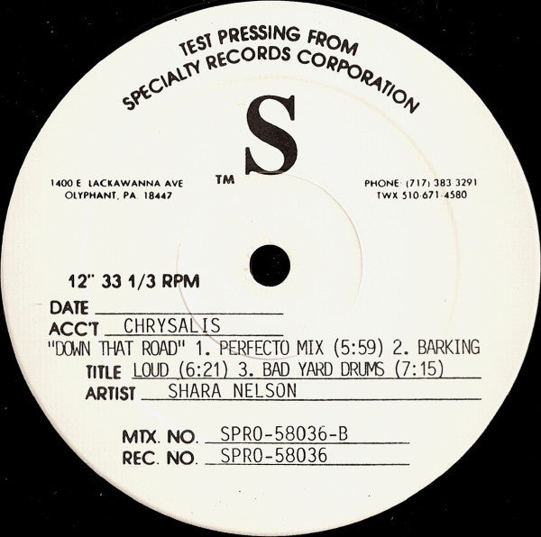 Shara Nelson : Down That Road (12", Maxi, TP)