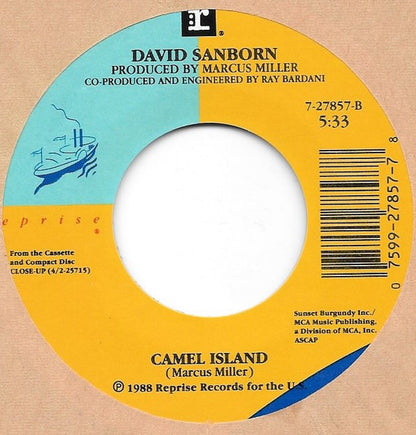 David Sanborn : Slam (7")