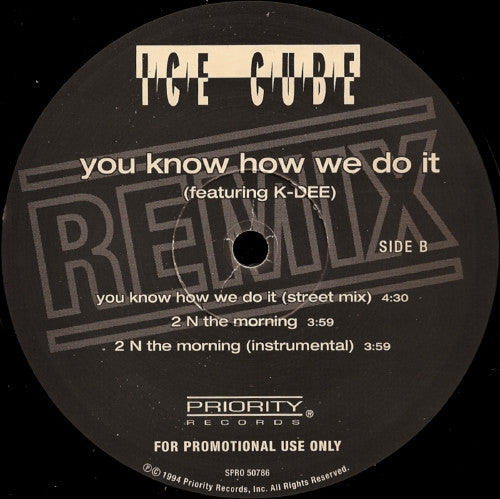 Ice Cube : You Know How We Do It (Remix) (12", Promo)