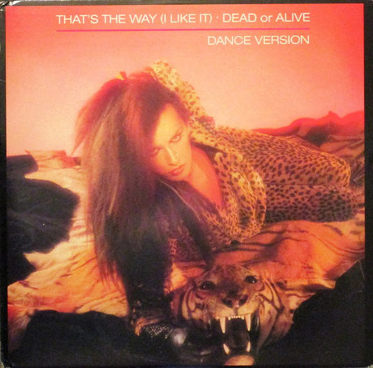 Dead Or Alive : That's The Way (I Like It) (Dance Version) (12", Promo)
