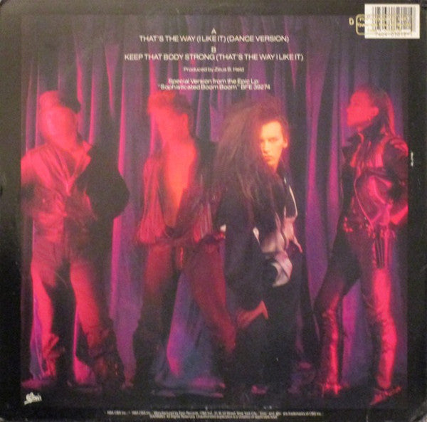 Dead Or Alive : That's The Way (I Like It) (Dance Version) (12", Promo)