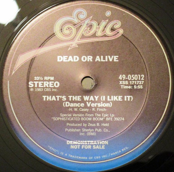 Dead Or Alive : That's The Way (I Like It) (Dance Version) (12", Promo)