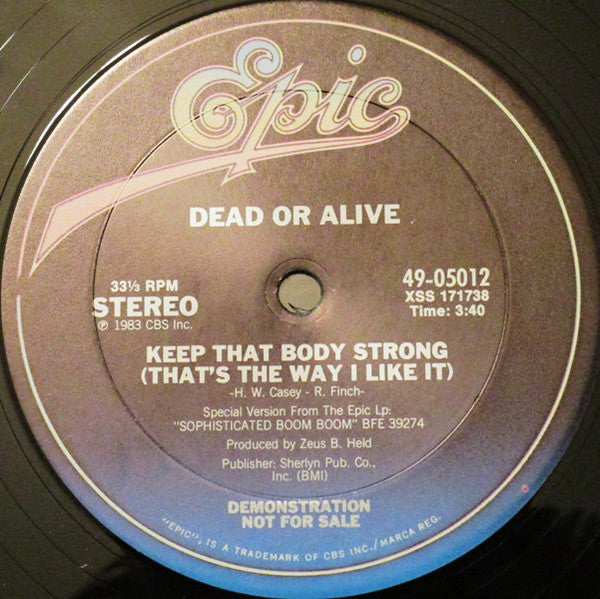 Dead Or Alive : That's The Way (I Like It) (Dance Version) (12", Promo)