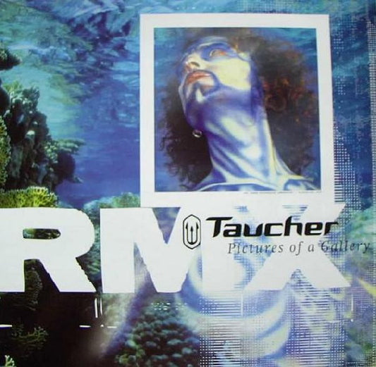 Taucher : Pictures Of A Gallery (Remix) (12")