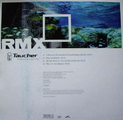 Taucher : Pictures Of A Gallery (Remix) (12")