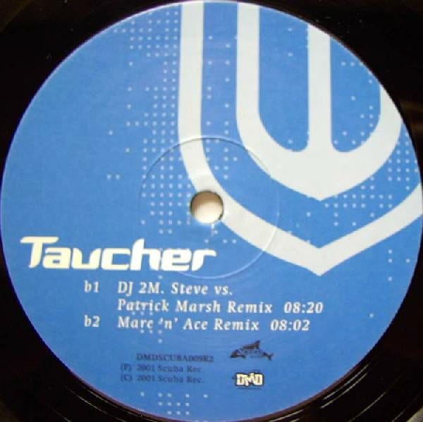 Taucher : Pictures Of A Gallery (Remix) (12")