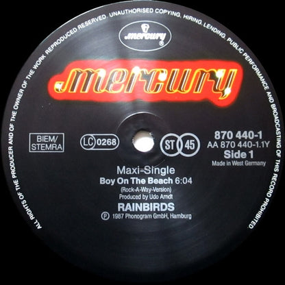 Rainbirds : Boy On The Beach (12", Single)