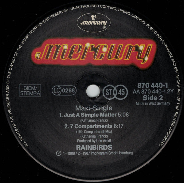 Rainbirds : Boy On The Beach (12", Single)