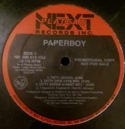 Paperboy : Ditty (12", Single, Promo)