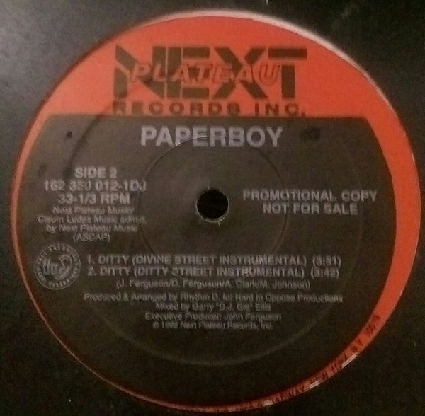 Paperboy : Ditty (12", Single, Promo)