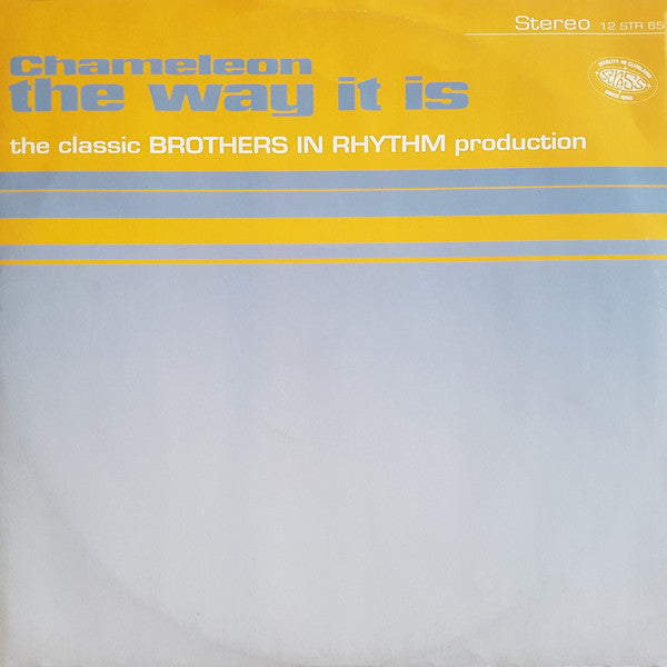 Chameleon (2) : The Way It Is (12")