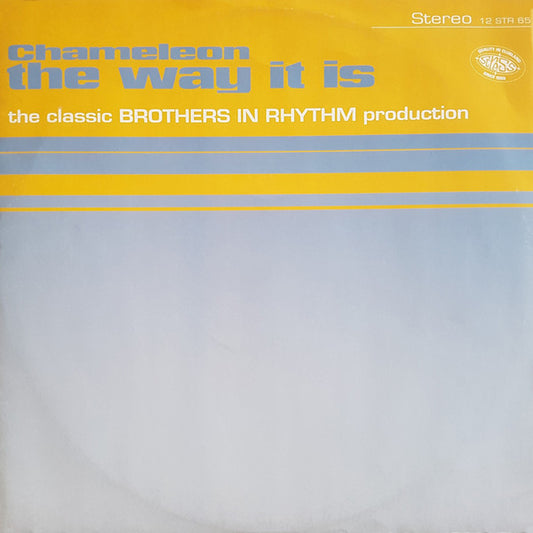 Chameleon (2) : The Way It Is (12")