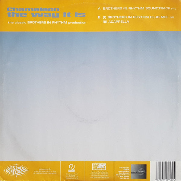 Chameleon (2) : The Way It Is (12")
