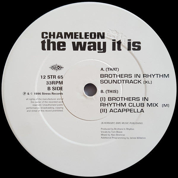 Chameleon (2) : The Way It Is (12")