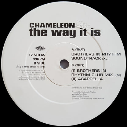 Chameleon (2) : The Way It Is (12")