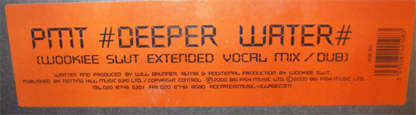 PMT : Deeper Water (12", Etch)