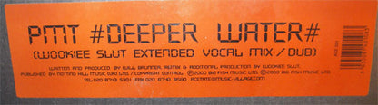 PMT : Deeper Water (12", Etch)
