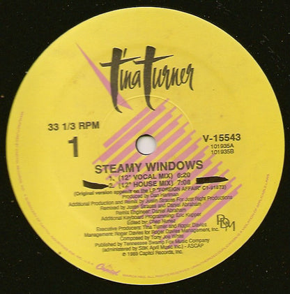 Tina Turner : Steamy Windows (12", Single, Pic)