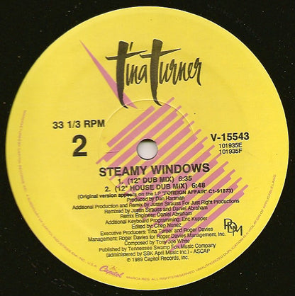 Tina Turner : Steamy Windows (12", Single, Pic)