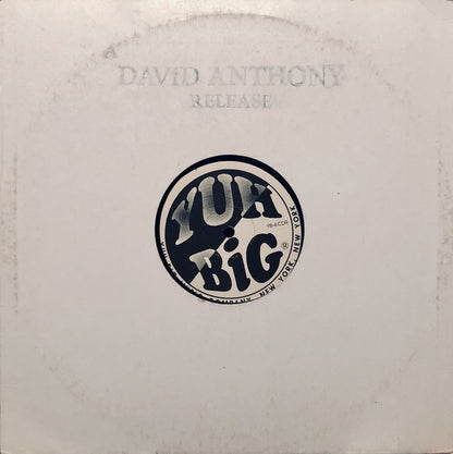 Meyoume Featuring Lena Sang : It's Yuh Big (12")