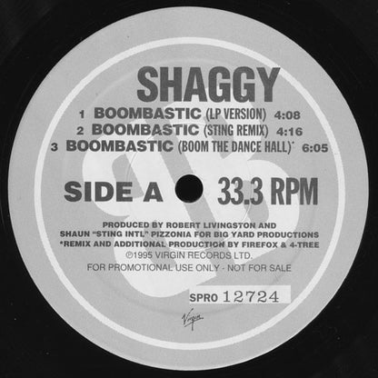 Shaggy : Boombastic (12", Promo)
