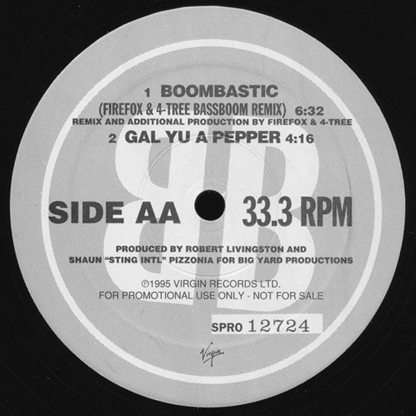 Shaggy : Boombastic (12", Promo)