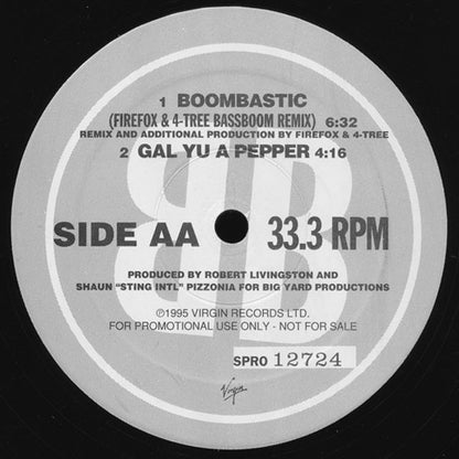 Shaggy : Boombastic (12", Promo)