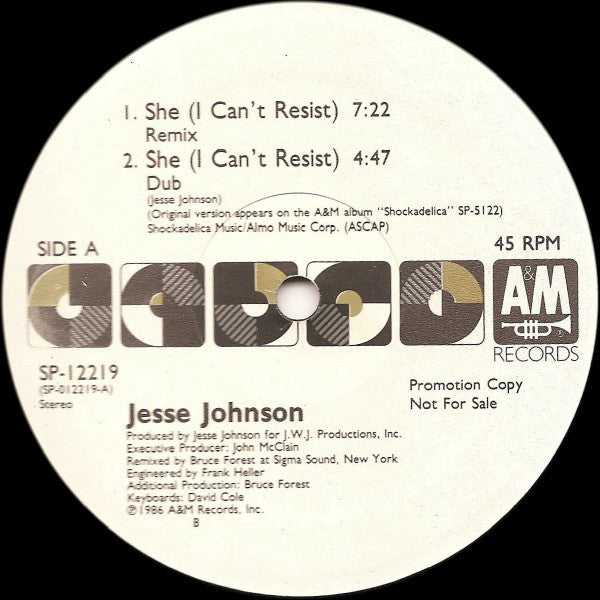 Jesse Johnson : She (I Can't Resist) (12", Promo)