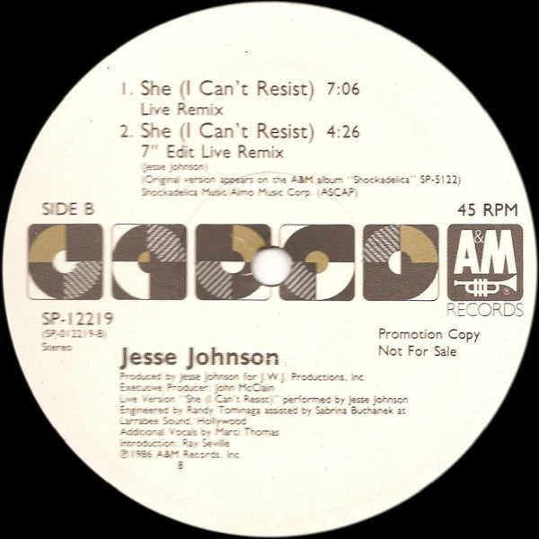 Jesse Johnson : She (I Can't Resist) (12", Promo)