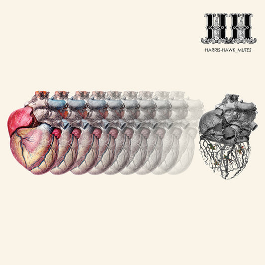 Harris Hawk : Mutes (LP, Album)