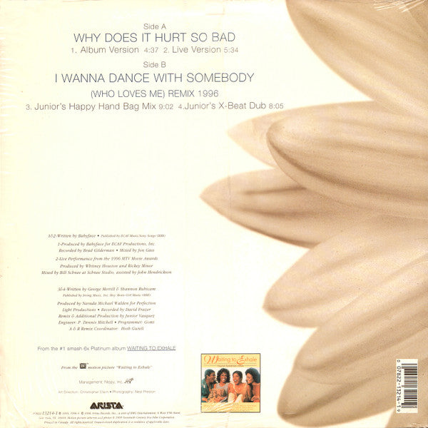 Whitney Houston : Why Does It Hurt So Bad / I Wanna Dance With Somebody (Who Loves Me) (Remix 1996) (12", Single)