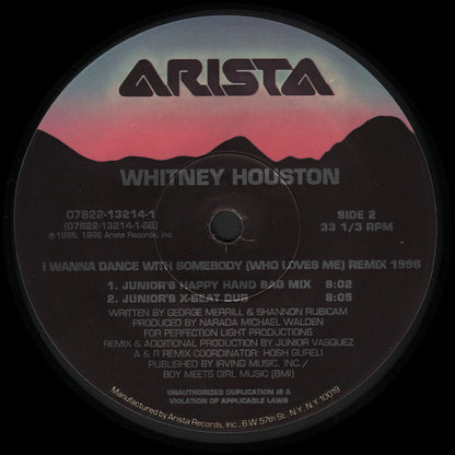 Whitney Houston : Why Does It Hurt So Bad / I Wanna Dance With Somebody (Who Loves Me) (Remix 1996) (12", Single)