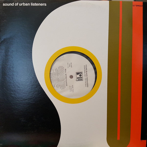 Young Black Teenagers : Roll W/The Flavor (12", Promo)