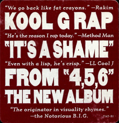 Kool G Rap : It's A Shame (12", Ltd, Promo)
