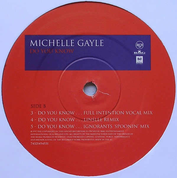 Michelle Gayle : Do You Know (12")