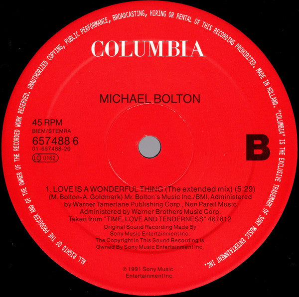 Michael Bolton : When A Man Loves A Woman (12", Maxi)