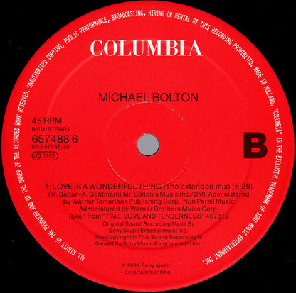 Michael Bolton : When A Man Loves A Woman (12", Maxi)