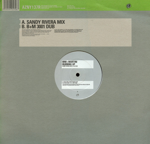 Bini + Martini* : Burning Up (12")
