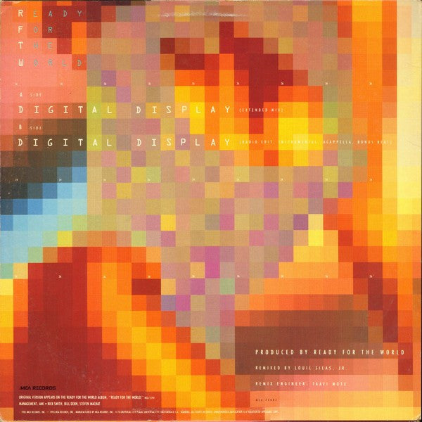 Ready For The World : Digital Display (12" Version) (12")