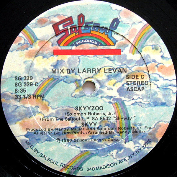 Skyy : Skyyzoo (12", Single)