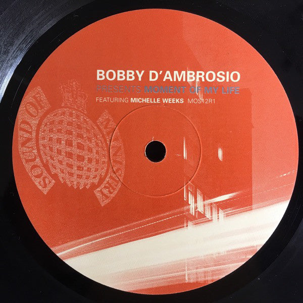 Bobby D'Ambrosio Featuring Michelle Weeks : Moment Of My Life (12", Par)