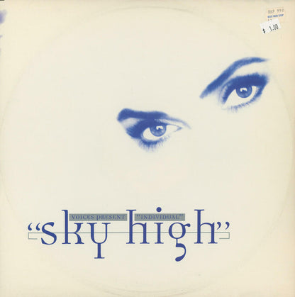 Voices (11) Present Individual : Sky High (12")
