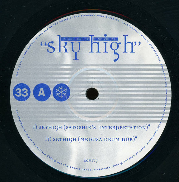 Voices (11) Present Individual : Sky High (12")