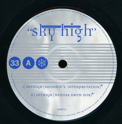 Voices (11) Present Individual : Sky High (12")