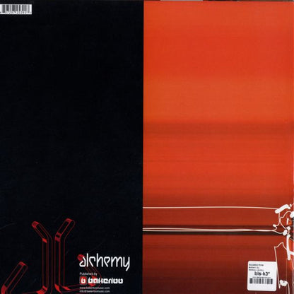 Riccardo Ferri : You Know What To Do (12")